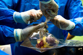 پانزدهمین پرواز، شانزدهمین قلب