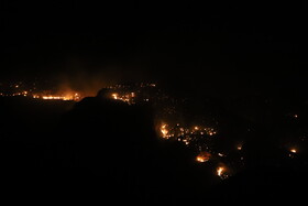 وقوع ۱۱۰ فقره آتش‌سوزی در استان‌های جنوبی و زاگرسی طی هفته گذشته
