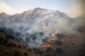 آخرین وضعیت آتش سوزی در مناطق "خائیز" و "دیل" کهگیلویه و بویراحمد