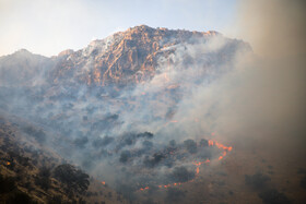 از بین رفتن تعدای درخت"ارس" در آتش سوزی اتفاق افتاده در کوه بهار