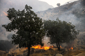 ادامه آتش‌سوزی در جنگل‌های اندیکا / ۲ مصدوم در عملیات اطفای حریق