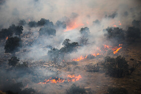 فرماندار کهگیلویه: مهار آتش سوزی خائیز کُند پیش می رود