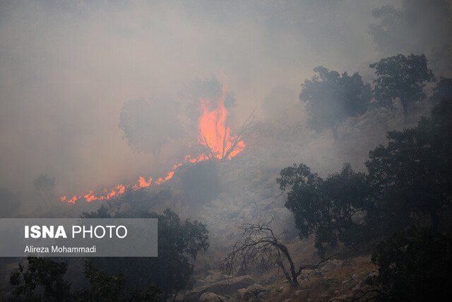 آتش روشن کردن؛ علت 6 حریق اخیر در جنگل ها/آتش جنگل‌های "دیل" گچساران خاموش شد
