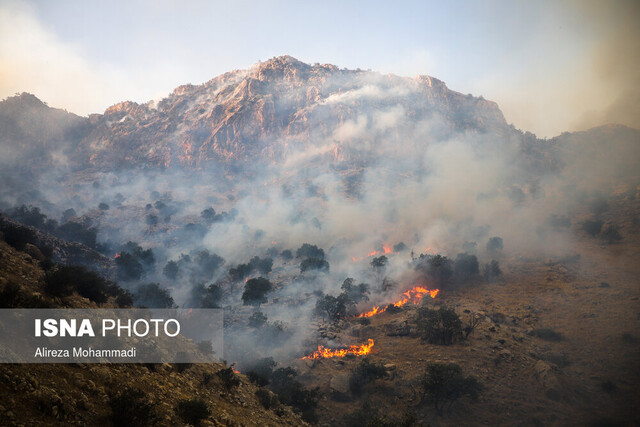 آخرین وضعیت آتش سوزی در مناطق "خائیز" و "دیل" کهگیلویه و بویراحمد