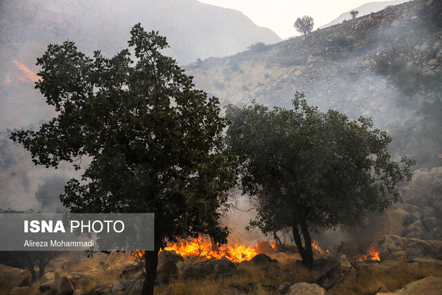 ادامه آتش‌سوزی در جنگل‌های اندیکا / ۲ مصدوم در عملیات اطفای حریق