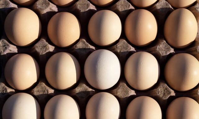 آن چه در نتیجه مصرف روزانه تخم مرغ رخ می‌دهد