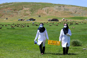 پایش و غربالگری سلامت عشایر استان همدان