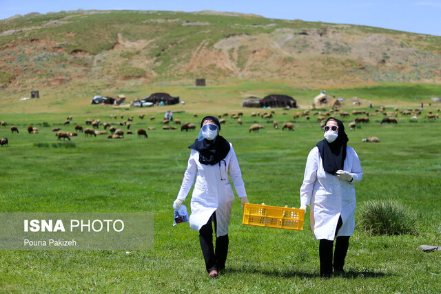 خانههای بهداشت ایران زبانزد در دنیا