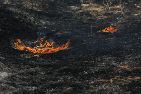 آتش‌سوزی در کمین جنگل‌ها و مراتع مازندران