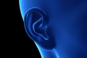 پرورش گوش‌ شبیه به گوش انسان با چاپ ۳بعدی در بدن موش‌ها