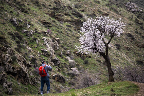 بهار کردستان
