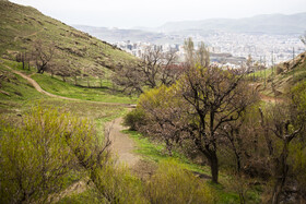 بهار کردستان