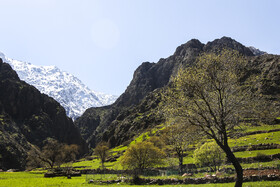 بهار کردستان
