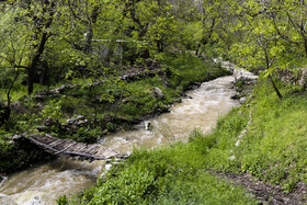 بهار کردستان