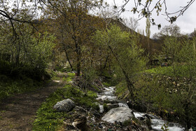 بهار کردستان