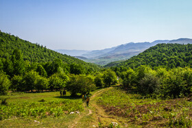 ایران زیباست؛ «دشت ماران»