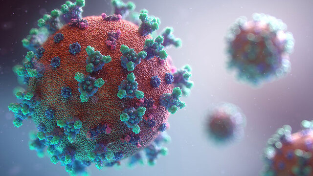 از بین بردن کروناویروس با کمک ابزار ایمنی‌درمانی سرطان