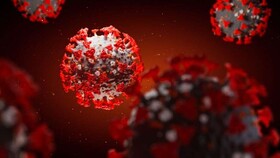 پژوهشگران آمریکایی به دنبال روش‌هایی برای غیرفعال کردن کروناویروس