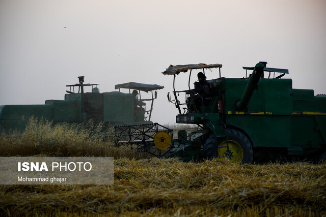 برداشت جو از مزارع شهرستان اردستان