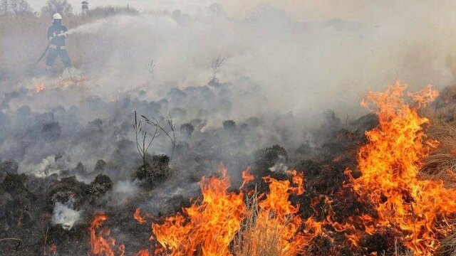 ثبت ۱۳ فقره آتش‌سوزی در مراتع زنجان طی یک ماه گذشته