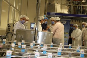 بررسی عملکرد سه ماهه صنایع شیر ایران