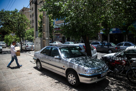 پیادهروهای شیراز در تسخیر خودروها 15 پیادهروهای شیراز در تسخیر خودروها