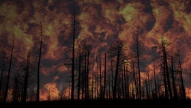 توسعه ردیابی برای شناسایی آتش سوزی‌ جنگل‌ها