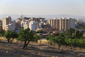 درختانی که چندی دیگر جای خود را با ساختمان هایی قواره های گوناگون عوض خواهند کرد. 