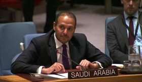 اعلام حمایت عربستان از عضویت امارات در شورای امنیت