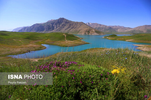 مالکیت هیچ‌ یک از مناطق چهارگانه تهران به نام سازمان محیط زیست نیست