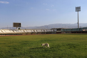 ورزشگاه بزرگ شهید مفتح همدان با ظرفیت ۱۵هزار نفر، استادیومی است که چمن آن با سیستم مشابه زمین چمن استادیوم آزادی تهیه میشود. در سال ۸۸ هزینه ای بالغ بر ۸ میلیارد تومان صرف این مکان شده است .
