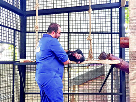 سه ماه زندگی در قفس