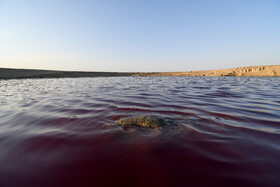 گِل فِشان نفتلیجه گمیشان - استان گلستان