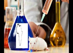 واقعیت‌هایی از آزمایش‌های پزشکی ممنوعه رژیم صهیونیستی 