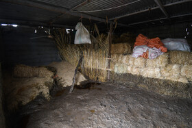 جاری شدن سیل در روستای «اجن قره خوجه»، شهرستان گالیکش در استان گلستان