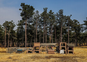 جنگل چیتگر نیز از ساخت و سازهای منطقه ۲۲ در امان نمانده است .