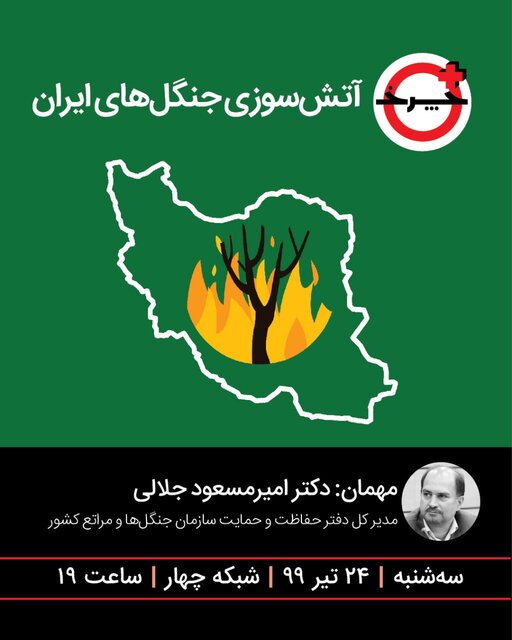 چرا جنگل‌های ایران آتش گرفتند؟  در«+چرخ»