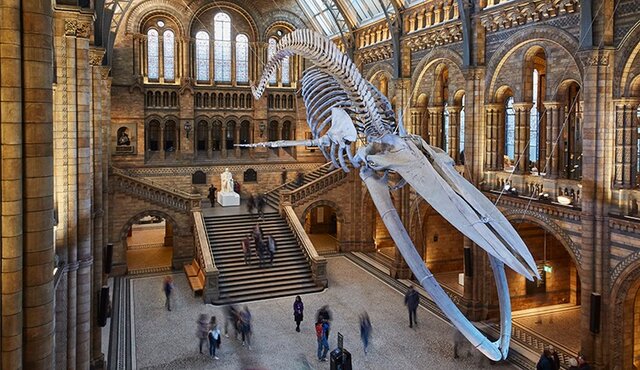 بازگشایی سه موزه بزرگ لندن در آینده نزدیک
