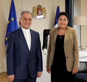 پیگیری مشکلات اتباع ایرانی در دیدار سفیر کشورمان با رییس‌جمهور گرجستان