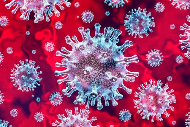 سلول‌های تی بهبود یافتگان کووید-۱۹ می‌توانند از افراد آسیب‌پذیر محافظت کنند