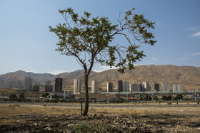 شهرنشینی فزاینده و افزایش سکونتگاههای شهری، بیشترین تأثیر را بر محـیط زیسـت گذاشته و شهر بهعنوان یکی از مراکز اصلی آلاینده محیط زیست تبدیل شده است