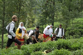 یک مستند مسابقه برای حمایت از محیط زیست و فرهنگ روستایی