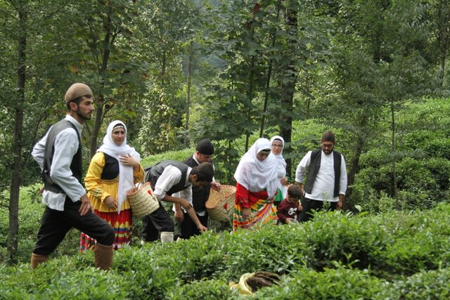یک مستند مسابقه برای حمایت از محیط زیست و فرهنگ روستایی