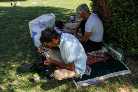 قرار بود این میدان با طرح‌های در دست اجرا، به سرزنده‌ترین میدان در کشور و مرکز توسعه‌ای برای بازآفرینی نقش بافت کهن شهر کرمان تبدیل شود و با توجه به نزدیکی به بازار سنتی کرمان قرار بوده محلی برای مسافران و مردمی که خسته از خرید روزانه بازمی گردند، باشد تا در آفتاب داغ تابستان دمی در سایه درختان بیاسایند‍