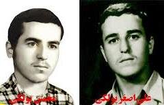 «ماهی پولکی» زندگی غواص شهید را روایت می کند