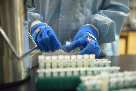 کمک مالی دانشگاه "استنفورد" به دانشجویان دوره دکتری در دوران کرونا