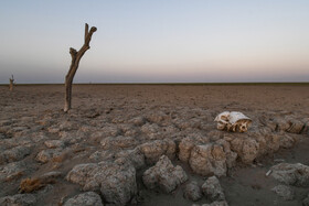 شرایط اقلیمی منطقه و بارشهای کم باعث فرسایش خاک در بخشهای زیادی از ترکمن صحرا شده است که این امر باعث شده قسمتهایی از منطقه که زمین های شور بیشتری دارند به  بیابانهایی بی آب علف تبدیل شوند.