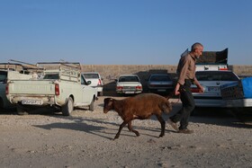 سایه کرونا در میدان دام همدان