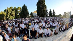 اقامه نماز عید فطر در مسجدالاقصی با حضور بیش از ۱۰۰ هزار فلسطینی