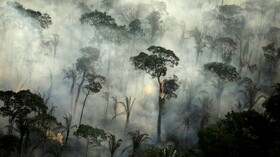 تشدید آتش‌سوزی‌های جنگلی در آمازون